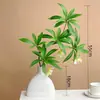 Ins simulação plantas verdes flores artificiais plantas fúcsia sala de estar arranjo de flores decoração simulação flores secas enfeites estante decoração estilo chinês