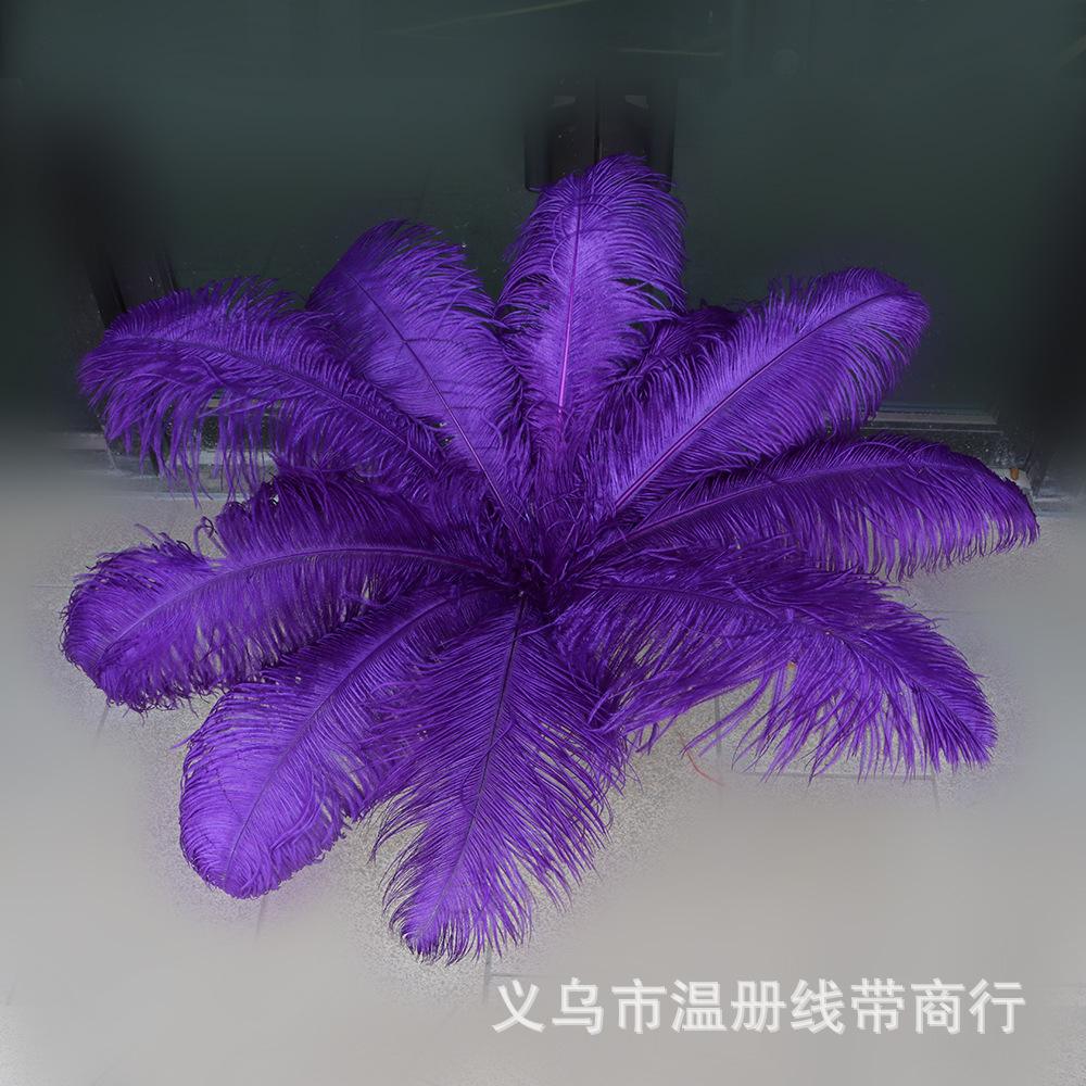 7 鸵大杆 60-65cm 3(1)