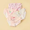 Ropa Interior Infantil Algodón Puro Clase A Ropa Interior para Bebés Niñas Cintura Media Pequeño, Mediano y Grande Pantalones Cortos Infantiles Verano Venta Directa de Fábrica Venta al por Mayor