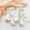 Calcetines para Niños 2024 Primavera y Verano Color Sólido Doble Puntada Calcetines de Media Caña Dropshipping Otoño Versátil Estilo Deportivo Calcetines para Estudiantes Venta al por Mayor
