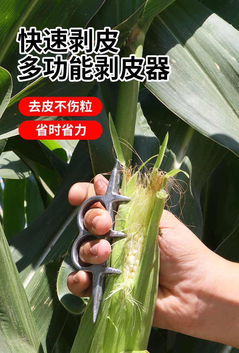 未标题-1_01.jpg