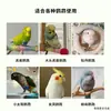 Correa para Exteriores para Loro, Arnés Especial para Cacatúas y Periquitos, No Lastima los Pies, Transportadora para Pájaros, Correa de Liberación para Loros