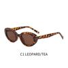 Gafas de Sol de Moda GLAZZY Europeas y Americanas para Mujer, Nuevas y Modernas, Gafas Transfronterizas, Gafas de Sol Anti-ultravioleta, Celebridad de Internet, Gafas de Sol de Comercio Exterior