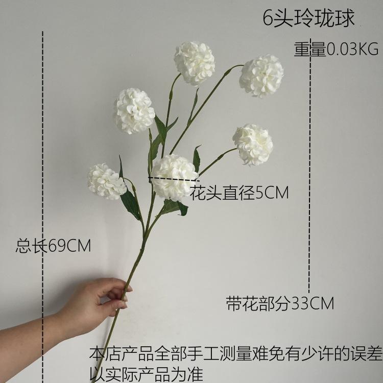 5f792ae90629af45697b50cc8a8666