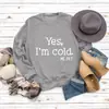Amazon Cross-Border Outono e Inverno Tops Femininos Comércio Exterior Outono e Inverno Sim Estou com Frio Estampado Casual Solto Moletom