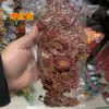 Materiais DIY acessórios para roupas de performance tecido de bordado nacional de ópera adesivos florais subsídios para passar a ferro atacado 259# flores quentes