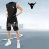 Conjunto de Duas Peças Masculino para Corrida de Secagem Rápida, Regata Sem Mangas, Roupa para Treinamento Físico, Camisa de Basquete, Regata de Verão com Shorts, Em Estoque