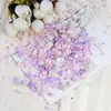 Arte de Uñas Ab Planos Coloridos Fondo de Diamante Semicírculo Perla Color Mixto Set Material DIY Teléfono Móvil Zapatos Ropa Taza Joyería