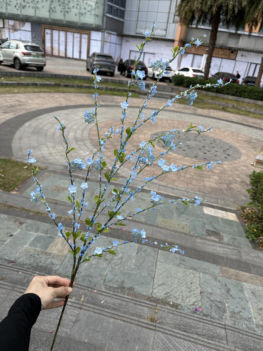 微信图片_20240321181549