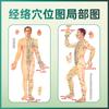 Diagrama de puntos de acupuntura de meridianos corporales. Ilustración de gráfico mural para masajes de cuerpo completo en casa. Medicina china. Acupuntura de salón. Moxibustión. Diagrama de puntos de acupuntura de alta definición.