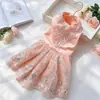 Vestido de Novia para Cachorro Oso Poodle Bichón Encaje Bordado Vestido para Mascota Cachorro Vestido de Novia para Gato