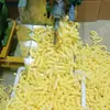 Máquina de Expansão, Máquina de Fritar Arroz, Máquina para Fazer Formatos de Arroz Frito Auto-Cozinhante, Como Formatos de Biscoito de Arroz, Formatos de Feijão Mungo, Formatos de Gergelim e Formatos de Bolinhas Pequenas Redondas, para Fazer Doce Crocante de Arroz