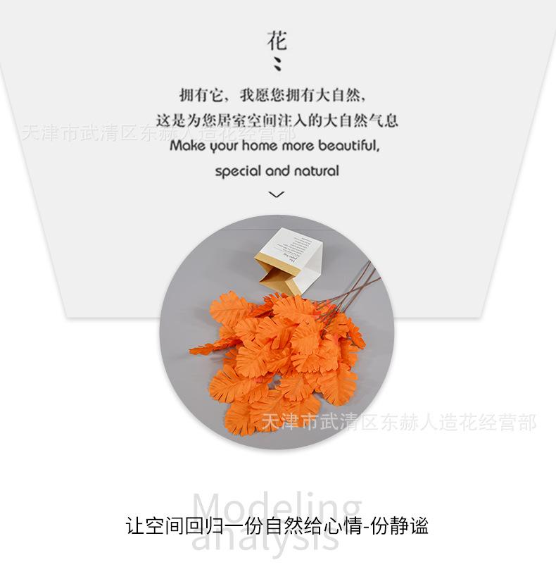 详情_06.png