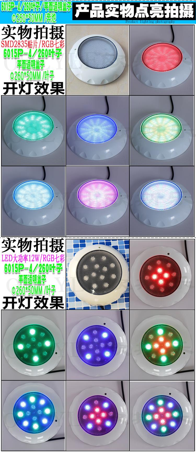 23年平面透明盖-230太阳花-230叶子-260叶子-详情