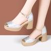 Aomanlin Nuevo Cheongsam Chino Zapatos de Pasarela Estilo Nacional Retro Plataforma de Fondo Grueso Tacón Alto Sandalias de Tacón Grueso con Hebilla para Mujer