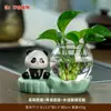 Decoração de Casa Estilo Chinês Panda Rabanete Verde Vaso Hidropônico Arranjo de Flores Vidraria Decoração de Mesa Vaso de Planta Presente