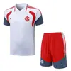 2627 Polo con Shorts Real Madrid Adulto Flamengo Uniforme de Fútbol Set Miami Adulto Uniforme de Fútbol Set