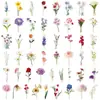 50 Piezas de Pegatinas Transparentes de Pétalos Florales, Estilo Ins Realista, Exquisitos Materiales para Journaling Femenino, Caja de Almacenamiento, Pegatinas Guka