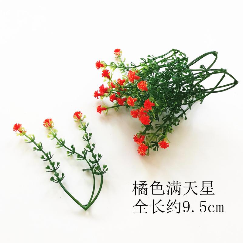 【橘色】.jpg