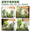 Set de Paisajismo Simulado para Exhibidores de Ventanas Interiores, Decoración de Escaleras, Paisaje de Plantas Verdes Simuladas, Arreglo de Jardín, Adornos de Decoración de Plantas en Maceta