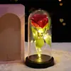 Flor de Rosa con Lámina de Oro en Cubierta de Cristal Muñeca Luminosa Flor Eterna Decoración para San Valentín, Navidad, Regalo para Novia o Esposa