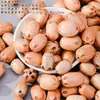 Acessórios de joias feitos à mão, materiais para sinos de vento, chocalhos de casca de fruta natural, chocalhos de sino DIY, chaveiros, pingentes para bolsas