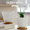 Macetas de Cerámica con Platos para Uso Doméstico al por Mayor, Macetas para Suculentas de Estilo Ins Simple Lujo Ligero Estilo Crema, Disponible para Dropshipping