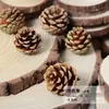 Pinha Selvagem Criativa Feita à Mão Flores Secas Materiais para Decoração de Árvore de Natal DIY Fotografia de Natal Enfeites Criativos