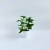 Manojos de Césped Artificial, Ramilletes de Hojas de Dinero, Decoraciones de Pared de Plantas Verdes, Decoraciones de Hojas de Magnolia, Mini Plantas de Plástico