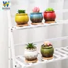 Maceta Suculenta Interior Escritorio Balcón Decoración Exportación Transfronteriza Jardinería Cerámica Mayoreo Regalos Navideños