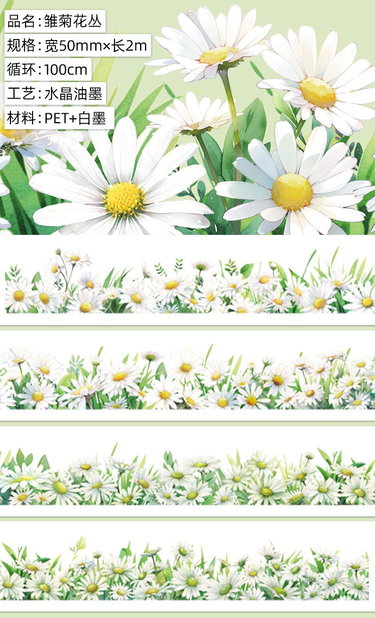 WB-zwf-07--雏菊花丛.亮面PET.水晶油墨2m详情