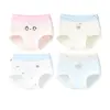 Calcinhas de algodão para meninas, tipo A, adequadas para meninas de 10 a 15 anos, projetadas para a fase de desenvolvimento, estilo triângulo, previne assaduras