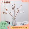 Algodón de seis cabezas Estilo nórdico Hogar Moderno Decoración simple Flor eterna Arreglo floral ramo accesorios para sesión de fotos simulación Algodón
