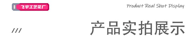 飞宇详情页_06