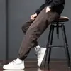Pantalones de Invierno 2025 para Hombre Tendencia Hombres Elásticos Holgados Versátiles Pantalones Casuales para Hombre Pantalones Forrados de Polar