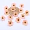 Flores Simuladas Flores de Cerezo Europeas Accesorios para Guirnaldas DIY Decoración Venta Caliente Transfronteriza Decoración de Ramillete Flor de Muñeca