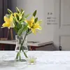 Vaso de vidro criativo nórdico, garrafa de vidro com cor gradiente estilo ins, decoração de casa vaso hidropônico de flores de luxo leve