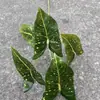Fabricante de Flores Artificiales para Bodas Verdes Hortensia Verde Rosa Rocío de Golondrina Loto Bola de Cebolla Decoración Suave para Bodas Flor Artificial al por Mayor
