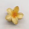 Pinza para Plumeria al por Mayor Transfronteriza Pinza Lateral de Venta Caliente para Vacaciones Horquilla para el Cabello Parte Posterior de la Cabeza Pinza de Tiburón Accesorio para el Cabello