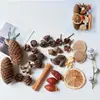 Flores Secas Frutas Secas Cáscaras de Fruta Piñas Decoración Hecho a Mano DIY Materias Primas Naturales Estilo Bosque Aromaterapia Navidad