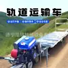 Vehículo de transporte monorraíl todoterreno para zonas montañosas, utilizado para transportar materiales agrícolas y forestales, fertilización de huertos y navegar por condiciones de carretera complejas.