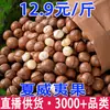 Nuevo Stock de Nueces de Macadamia, Venta al por mayor de Nueces de Macadamia, Dropshipping de Nueces de Macadamia, Nueces de Macadamia