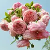 Envío Directo de Una Pieza Plántulas de Rosa Grande para Desfiles Trepadora para Balcón Rosa Trepadora de Cuatro Estaciones Planta Trepadora Rosa Planta de Rosa en Maceta