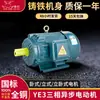 Motor asíncrono trifásico YE3 de 4 polos 0.55-0.75kw1.1-1. 5kw2.2-3kw Motor Motor al por mayor