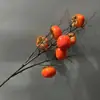 Simulación Caqui Granada Rojo Fruta Año Nuevo Adorno Floral Fruta de la Fortuna Decoración Adorno Espuma Fruta Arreglo Floral Flor de Simulación Venta al por Mayor