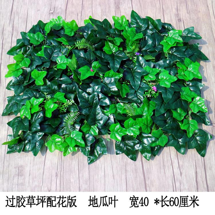 过胶草坪配花版 地瓜叶