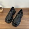 Sapatos Mary Jane Femininos de Solado Grosso e Salto Grosso 2025 Novo Outono Estilo Francês Sapatos de Couro Pequenos com Saias e Mocassins Elegantes