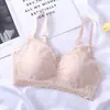 Sujetador Push-up Ajustable Plegable Anti-caída de Senos Ropa Interior Sexy de Espalda Hermosa sin Aro de Acero Adhesivo Facial de Flor de Encaje Sujetador de Plástico