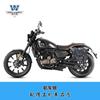 Coche muscle Wolf adecuado para Qianjiang flash 250 bolsa lateral bolsa lateral se puede instalar casco medio casco casco integral con cerradura marco de liberación rápida modificación