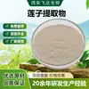 Extracto de Semilla de Loto Materia Prima de Grado Alimenticio, Polvo de Semilla de Loto Extraído Soluble en Agua, Certificado de Fábrica SC, Gran Cantidad, Precio Favorable, Se Puede Inspeccionar Comercialemente
